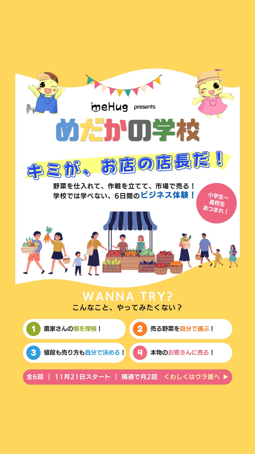 めだかの学校 チラシ